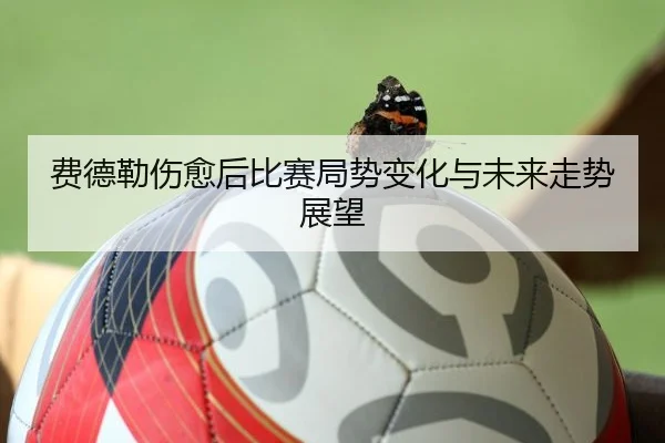 费德勒伤愈后比赛局势变化与未来走势展望