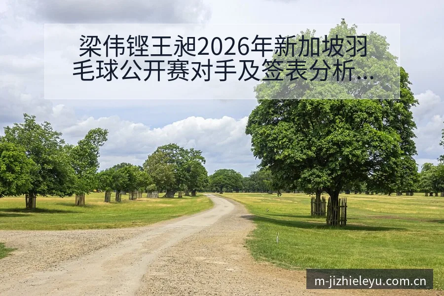 梁伟铿王昶2026年新加坡羽毛球公开赛对手及签表分析中 - 乐鱼